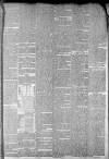 Staffordshire Sentinel Saturday 24 March 1866 Page 7