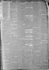 Staffordshire Sentinel Saturday 24 November 1866 Page 3