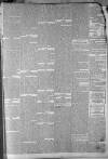 Staffordshire Sentinel Saturday 24 November 1866 Page 5