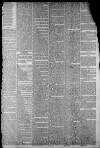 Staffordshire Sentinel Saturday 30 May 1874 Page 3