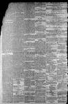 Staffordshire Sentinel Saturday 04 July 1874 Page 8