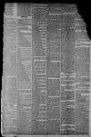 Staffordshire Sentinel Saturday 07 November 1874 Page 3