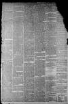 Staffordshire Sentinel Saturday 14 November 1874 Page 5