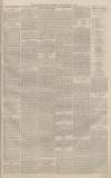 Staffordshire Sentinel Friday 18 February 1881 Page 3