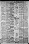 Staffordshire Sentinel Friday 20 January 1882 Page 2