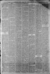 Staffordshire Sentinel Saturday 18 February 1882 Page 11