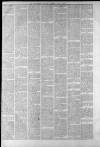 Staffordshire Sentinel Saturday 15 April 1882 Page 3