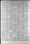 Staffordshire Sentinel Saturday 15 April 1882 Page 6