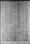 Staffordshire Sentinel Saturday 29 April 1882 Page 5