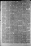 Staffordshire Sentinel Saturday 29 April 1882 Page 6