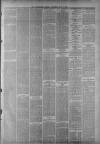 Staffordshire Sentinel Wednesday 05 July 1882 Page 3