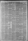 Staffordshire Sentinel Saturday 11 April 1885 Page 11