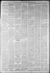 Staffordshire Sentinel Saturday 23 May 1885 Page 11