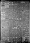 Staffordshire Sentinel Wednesday 20 January 1886 Page 3