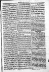 Taunton Courier and Western Advertiser Thursday 05 August 1813 Page 5