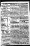 Taunton Courier and Western Advertiser Thursday 25 November 1819 Page 5