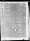 Taunton Courier and Western Advertiser Wednesday 27 October 1852 Page 7