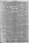 Taunton Courier and Western Advertiser Wednesday 09 June 1869 Page 5