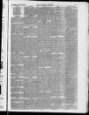 Taunton Courier and Western Advertiser Wednesday 22 May 1872 Page 3