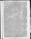 Taunton Courier and Western Advertiser Wednesday 04 August 1875 Page 5