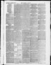 Taunton Courier and Western Advertiser Wednesday 03 November 1875 Page 3