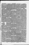 Taunton Courier and Western Advertiser Wednesday 02 February 1881 Page 5