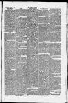 Taunton Courier and Western Advertiser Wednesday 02 February 1881 Page 7