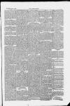 Taunton Courier and Western Advertiser Wednesday 01 February 1882 Page 5