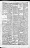 Taunton Courier and Western Advertiser Wednesday 21 March 1883 Page 5