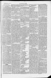 Taunton Courier and Western Advertiser Wednesday 16 April 1884 Page 5