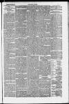 Taunton Courier and Western Advertiser Wednesday 23 March 1887 Page 7