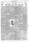 Taunton Courier and Western Advertiser Wednesday 22 May 1889 Page 5