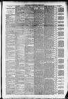 Taunton Courier and Western Advertiser Wednesday 04 February 1891 Page 3