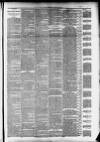 Taunton Courier and Western Advertiser Wednesday 18 March 1891 Page 3