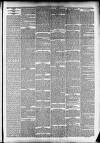 Taunton Courier and Western Advertiser Wednesday 18 March 1891 Page 7