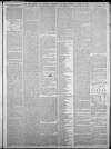 West Briton and Cornwall Advertiser Thursday 22 January 1880 Page 7