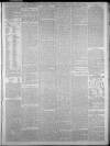 West Briton and Cornwall Advertiser Thursday 22 April 1880 Page 7