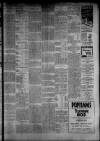 West Briton and Cornwall Advertiser Thursday 19 January 1933 Page 9