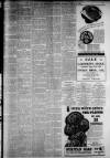 West Briton and Cornwall Advertiser Thursday 28 March 1935 Page 7