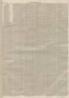 Lincolnshire Chronicle Friday 20 May 1864 Page 3