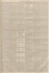 Lincolnshire Chronicle Friday 22 July 1870 Page 5