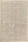 Lincolnshire Chronicle Friday 10 March 1871 Page 3