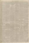 Lincolnshire Chronicle Friday 10 March 1871 Page 7