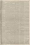 Lincolnshire Chronicle Friday 16 April 1875 Page 5