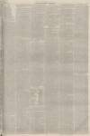 Lincolnshire Chronicle Friday 07 May 1875 Page 3