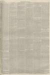 Lincolnshire Chronicle Friday 25 June 1875 Page 3