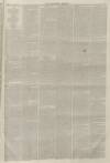 Lincolnshire Chronicle Friday 22 December 1876 Page 3