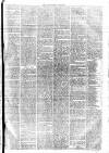 Lincolnshire Chronicle Friday 02 February 1877 Page 5