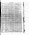 Lincolnshire Chronicle Friday 11 May 1877 Page 3