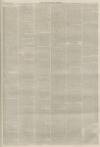 Lincolnshire Chronicle Friday 29 March 1878 Page 3